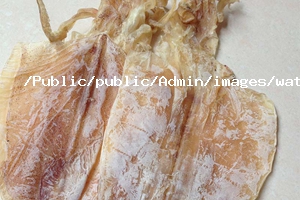 魷魚營養(yǎng)價(jià)值